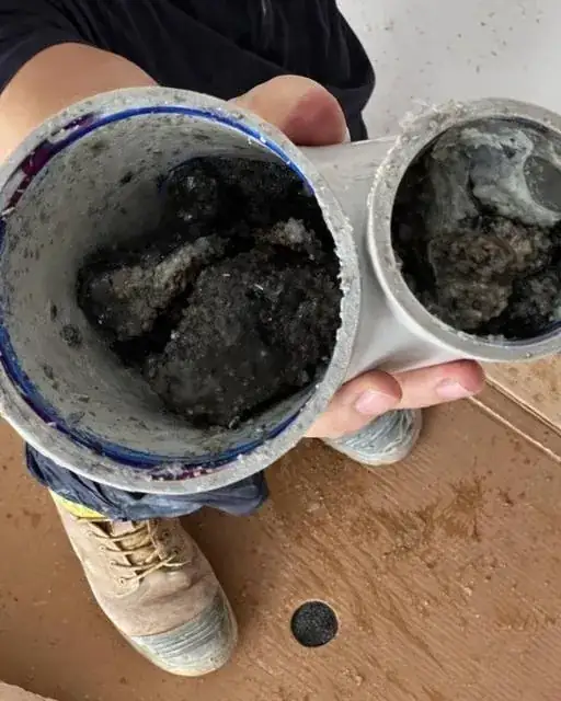 Cut pipe sections packed solid with grease and debris removed from a blocked drain
