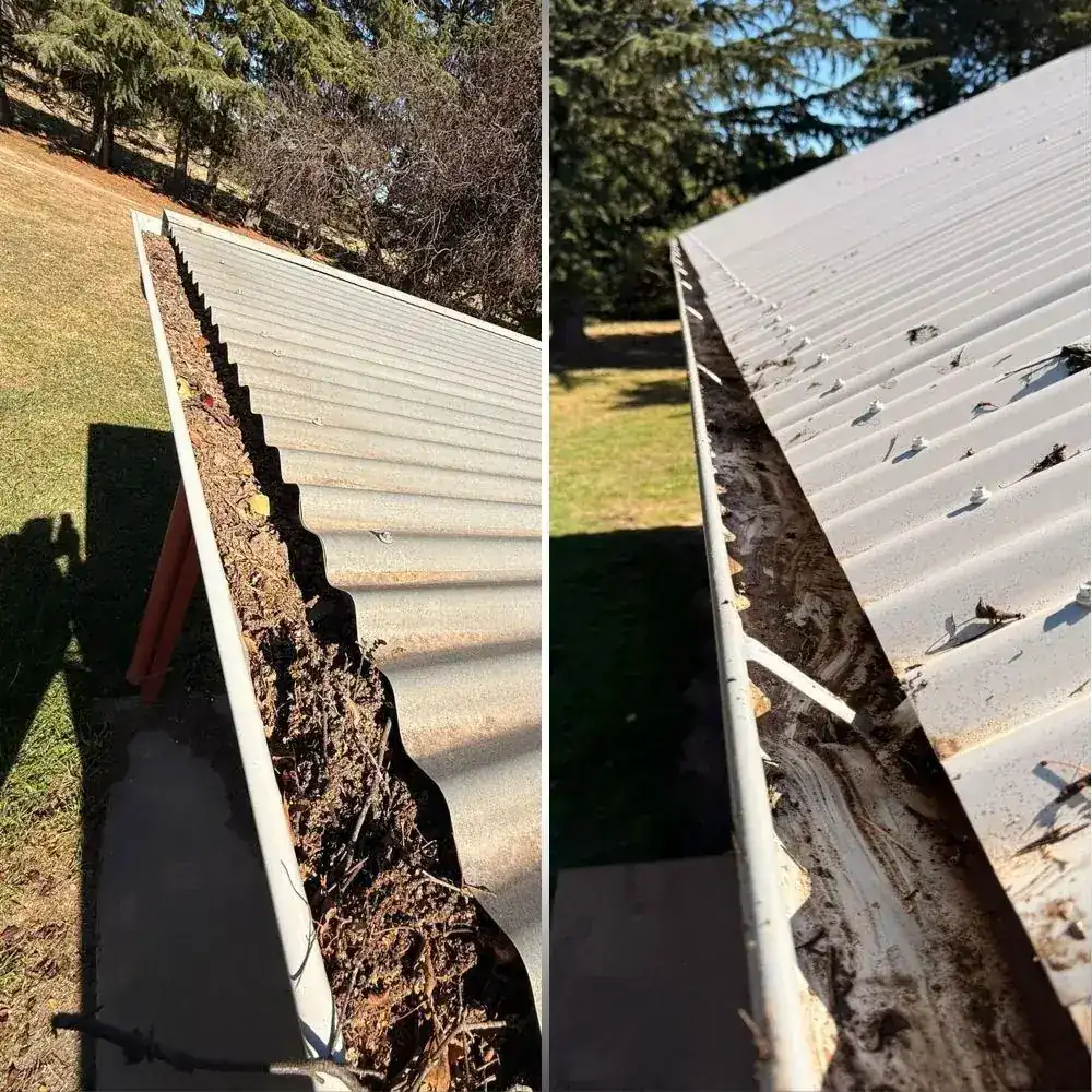 Maintenance Plumbing